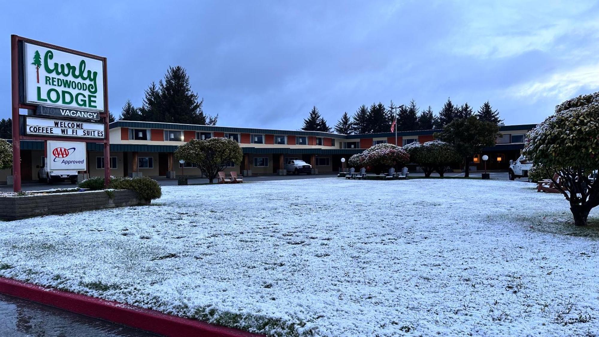Curly Redwood Lodge Crescent City Exterior foto